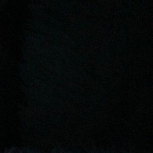 Meet your Posher, Hunter